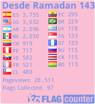 Flag Counter