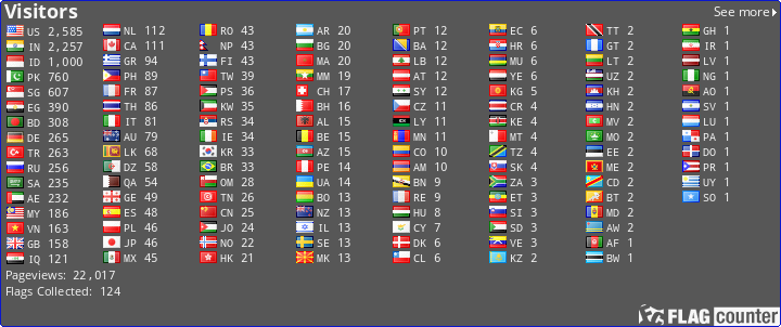Flag Counter