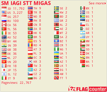 Flag Counter