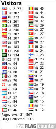 Flag Counter