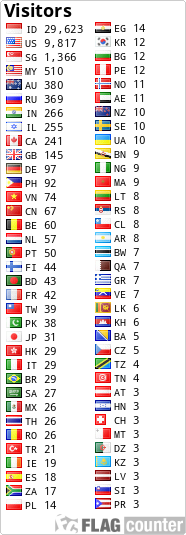 flag counters