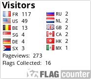 Flag Counter