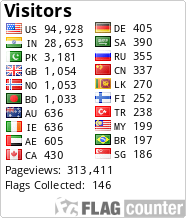 Flag Counter