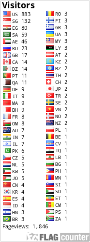 Flag Counter