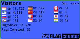 Flag Counter