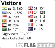 Flag Counter