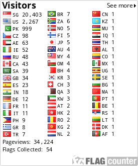 Flag Counter