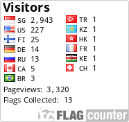 Flag Counter