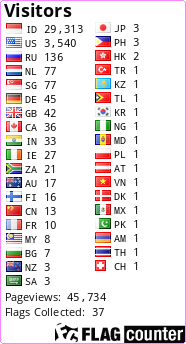 Flag Counter