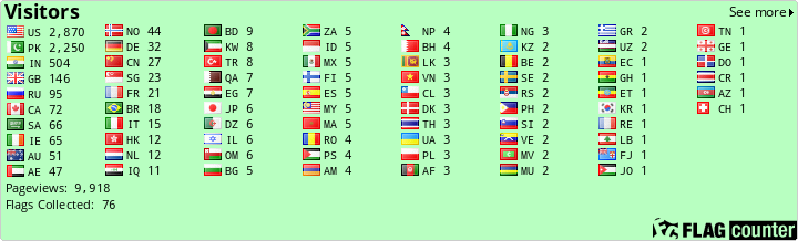 Flag Counter