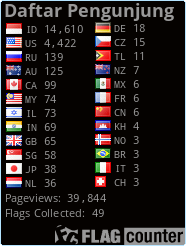 Flag Counter