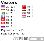 Flag Counter