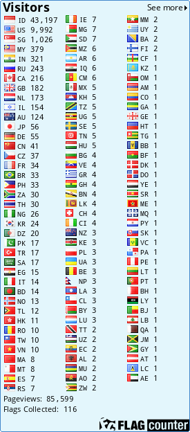 Flag Counter