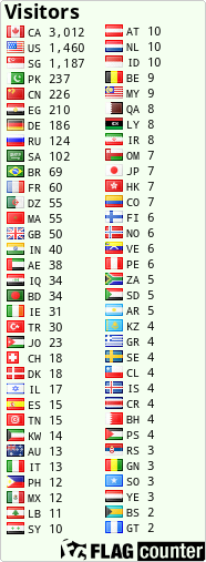 Flag Counter