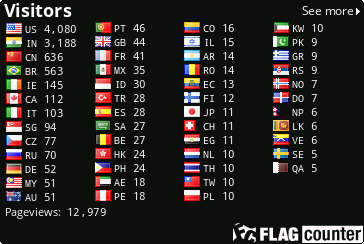  Flag counter