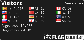 Flag Counter