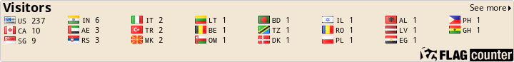 Flag Counter