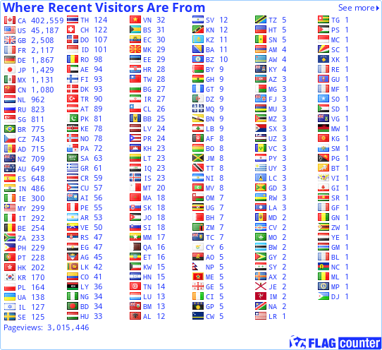 Flag Counter