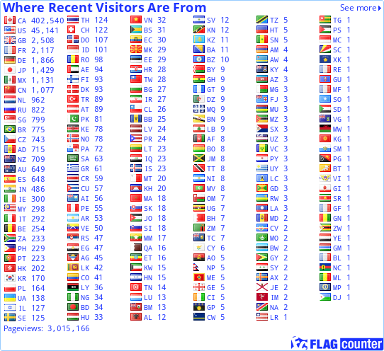 Flag Counter