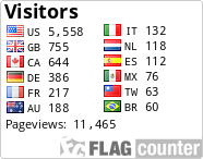Flag Counter