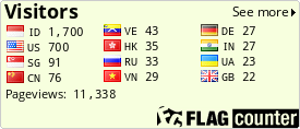 Flag Counter