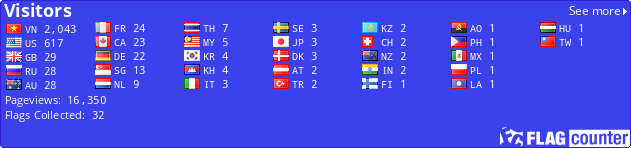 Flag Counter