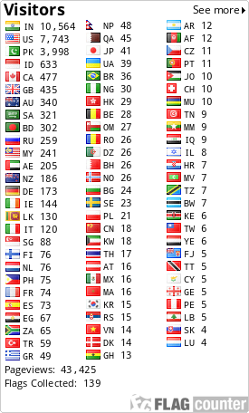 Flag Counter