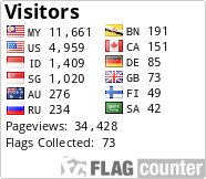 Flag Counter