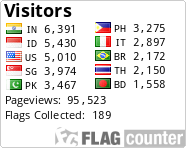 Flag Counter
