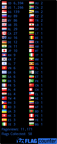 Flag Counter