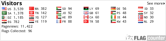 Flag Counter