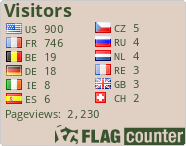 Flag Counter