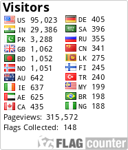 Flag Counter