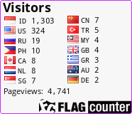Flag Counter
