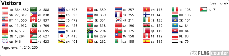Flag Counter