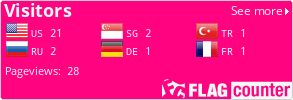Flag Counter
