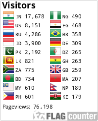 Flag Counter