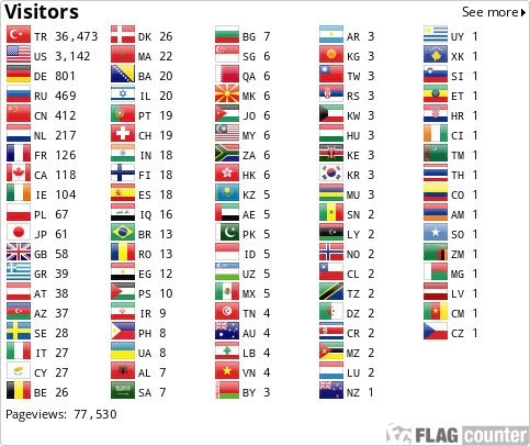 Flag Counter