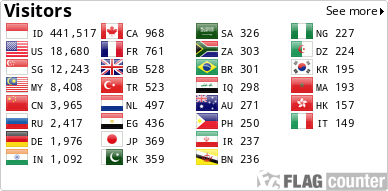Flag Counter