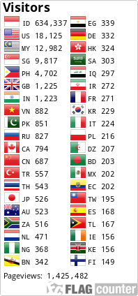 Flag Counter