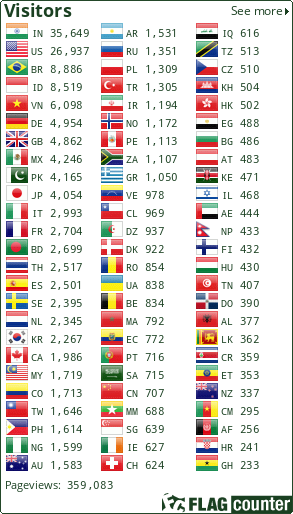 Flag Counter