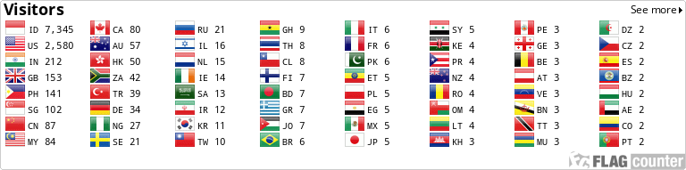 Flag Counter