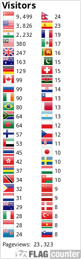Flag Counter