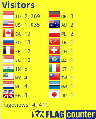 Flag Counter