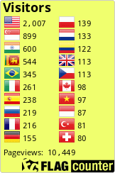 Flag Counter