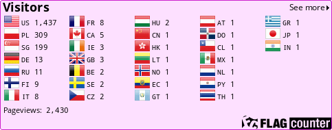 Flag Counter