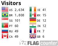 Flag Counter