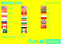 Flag Counter