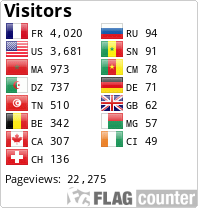 Flag Counter