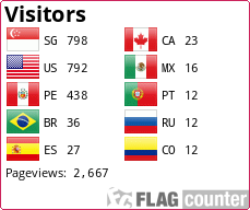 Flag Counter